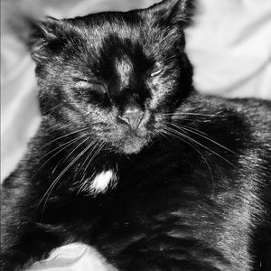 Meet your Posher, Abbey